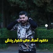 دانلود آهنگ شلوار پلنگی 2 و 3  + ریمیکس