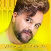 دانلود آهنگ علی عبدالمالکی به نام عشق است