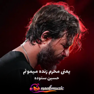 نوحه یعنی محرم زنده میمونم مداحی حسین ستوده ریمیکس اینستا